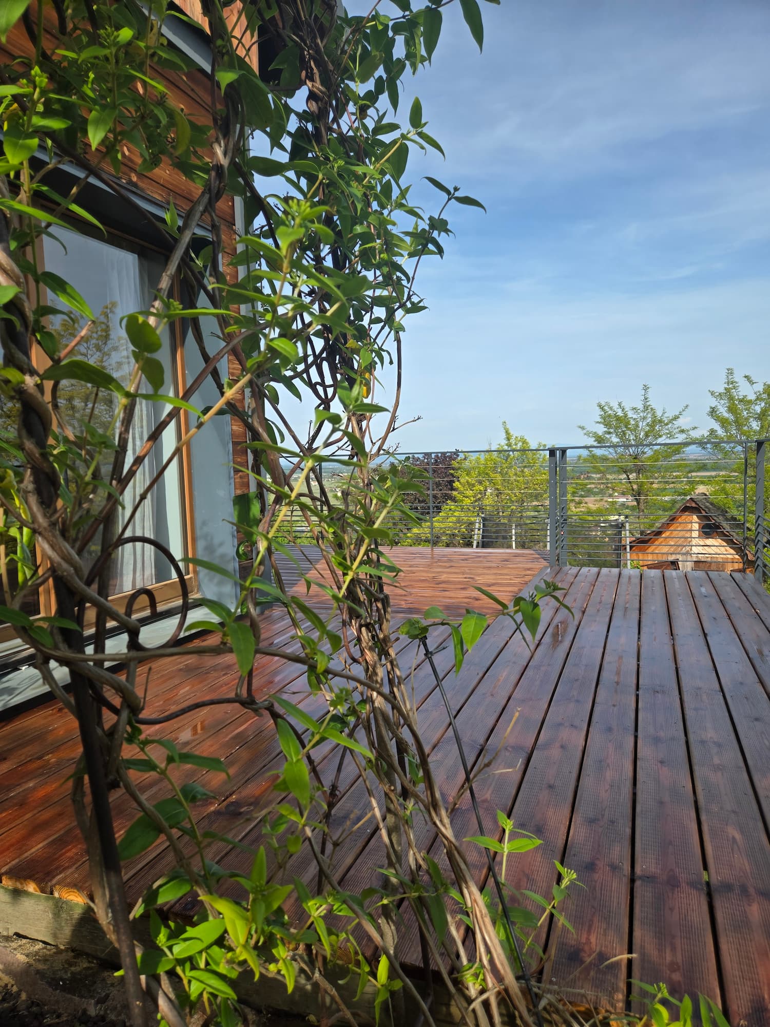 Cr&eacute;ation de terrasse sur mesure : bois, dalle, pav&eacute; et b&eacute;ton autour de Colmar et S&eacute;lestat Illzach 2