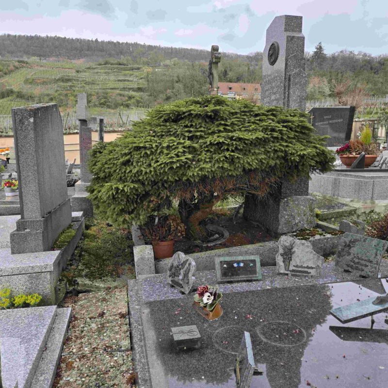 Entretien de tombe – Gueberschwir H&eacute;ricourt 0