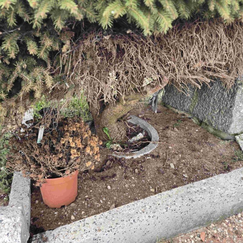 Entretien de tombe – Gueberschwir Illzach 1
