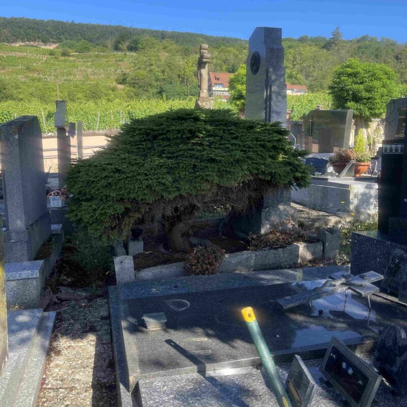 Entretien de tombe – Gueberschwir Belfort 6