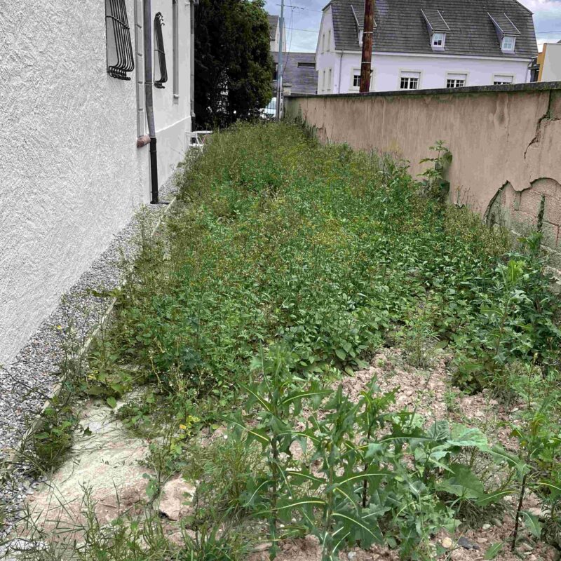 Chantier HHA Belfort 6