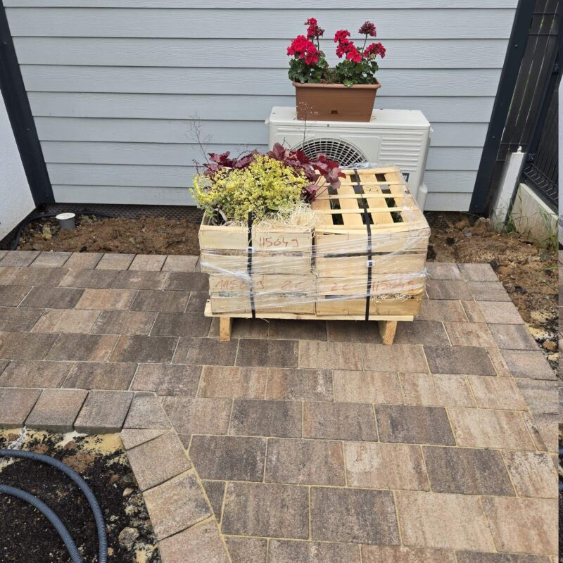 Pavage + plantation Mulhouse 8