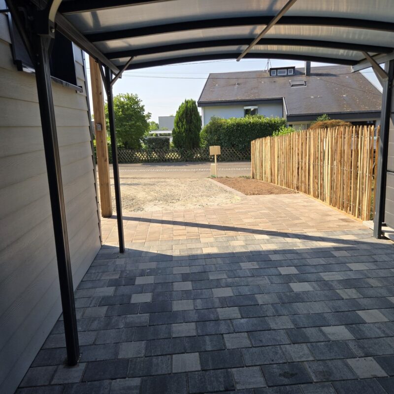Pavage + plantation Riedisheim 16
