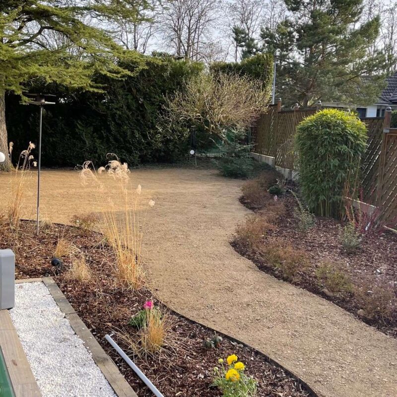 Piscine + Terrasse en bois Colmar 2