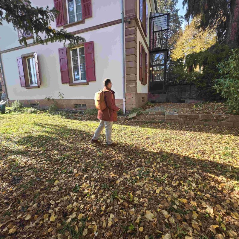 Terrassement et remise &agrave; niveau Rixheim 2