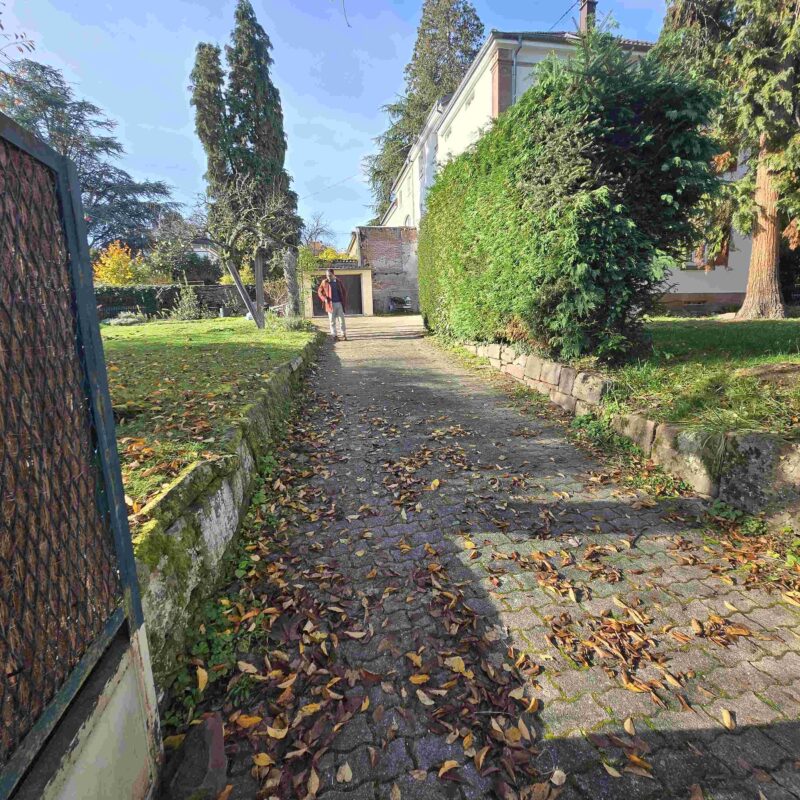 Terrassement et remise &agrave; niveau Cernay 5
